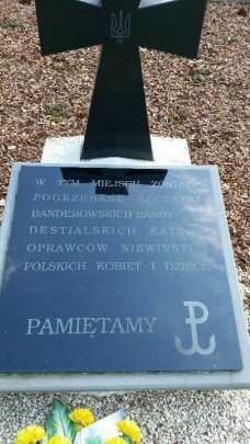 13178964_228177617564404_5788953888157758102_n