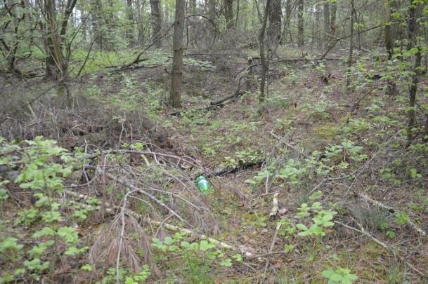 13226888_1031238026931574_346971368303199328_n