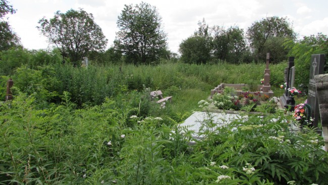 1. Jezierzany stan przed pracami