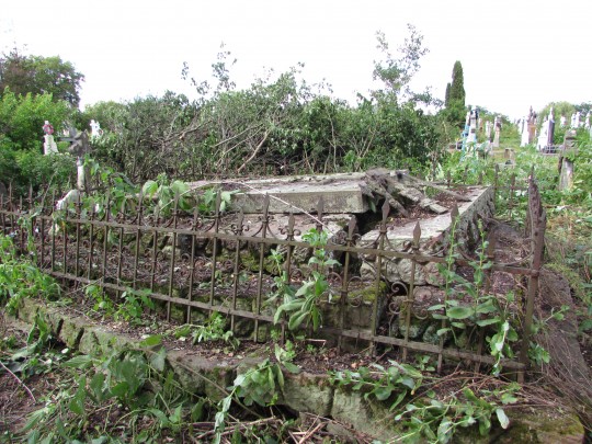 10. Grobowiec Ferdynanda Gamskiego.