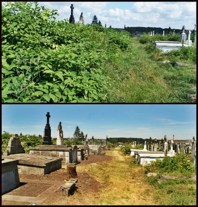 Aleja grobowców - zdjęcie porównawcze