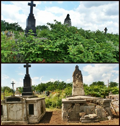 Grobowce przed i po uporządkowaniu