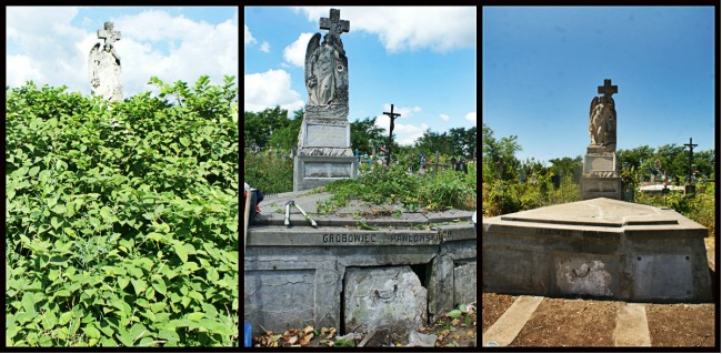 Grobowiec rodziny Pawłowskich w 3 odsłonach - w ziemi znaleziona została tabliczka którą wolontariusze przykleili do mogiły