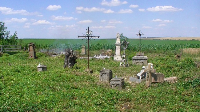 Nowy Suchodół udało się ocalić