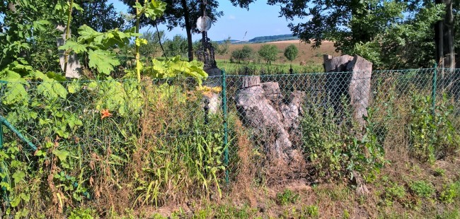 WP_20160704_08_09_44_Pro