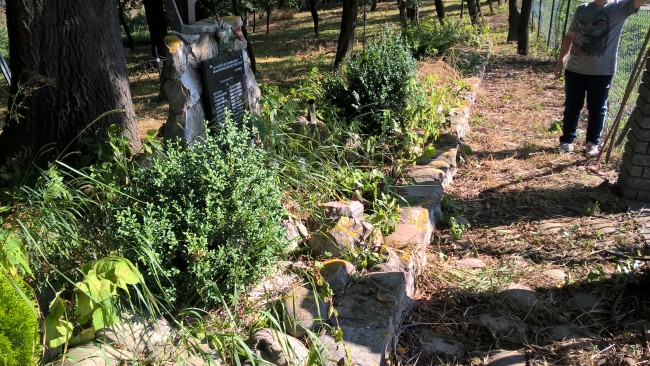 WP_20160704_08_13_15_Pro