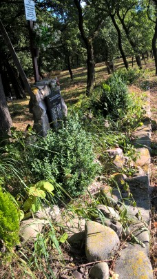 WP_20160704_08_13_35_Pro