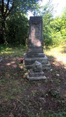 WP_20160708_09_51_17_Pro