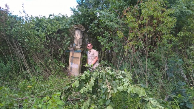 WP_20160708_10_34_51_Pro