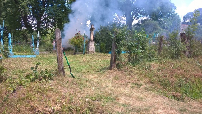 WP_20160708_12_01_37_Pro