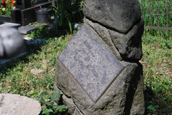 ZYTOMIERZ_PRZED_I_PO_013