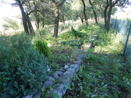 15.wyglądała Mogiła pomordowanych