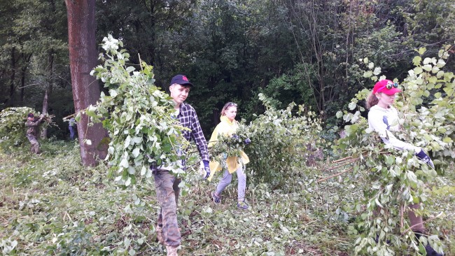 BK- co wycięte to wyniesione