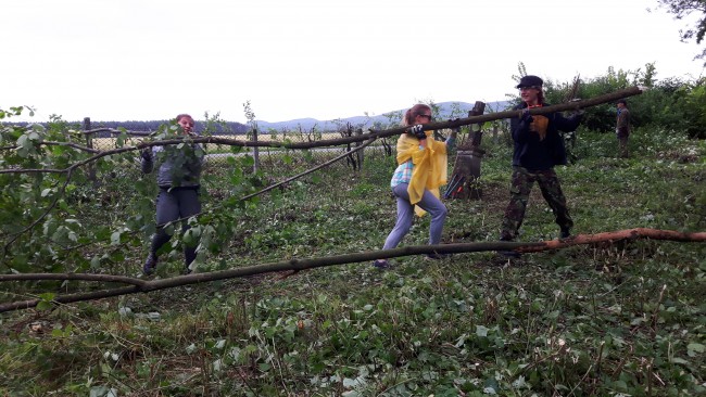 BK- usuwamy mniejsze drzewka