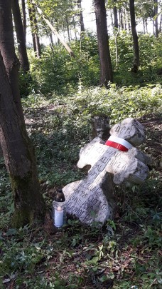 Biały Kamień- część odkryta w lesie