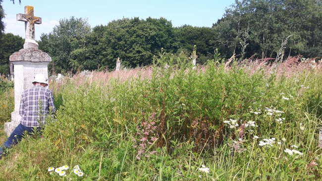 Hodowica- w czasie pracy