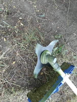 20228454_1507008199356352_9068086023585890918_n