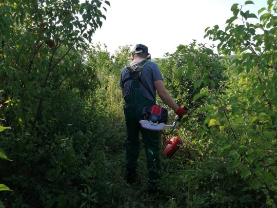 20228808_1507021139355058_8463001442886669356_n