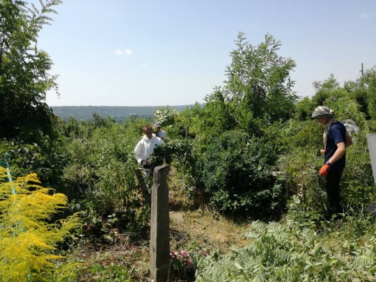 20229192_1507008402689665_273737463941177566_n