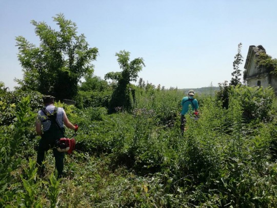 20229318_1507009292689576_7768806200357940779_n