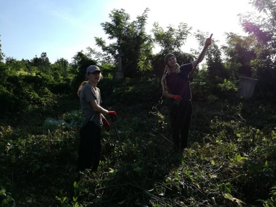 20245378_1507015586022280_5503948567485862245_n