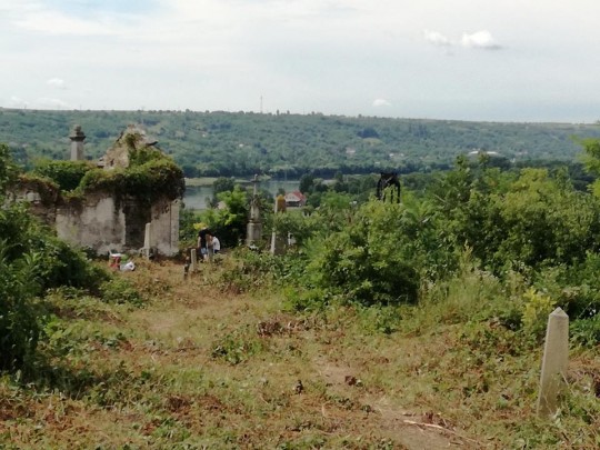 20245434_1507092309347941_1071193025235176878_n