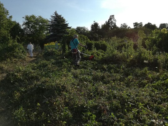 20246089_1507015609355611_7202851713345429946_n