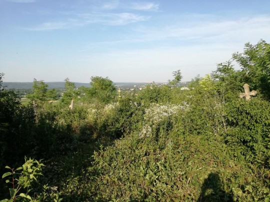 20246329_1507016736022165_2815198210071466883_n