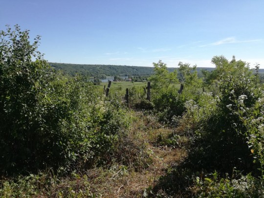 20264879_1507072362683269_1402112887311497553_n