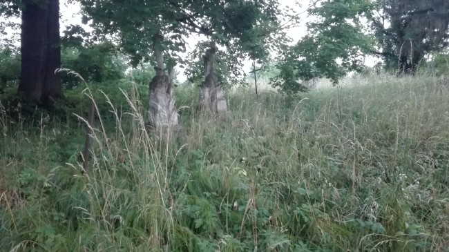 Cmentarz Komarno - przed rozpoczęciem prac (2)