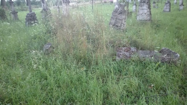 Cmentarz Komarno - przed rozpoczęciem prac