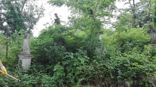 Cmentarz Tuligłowy (2)