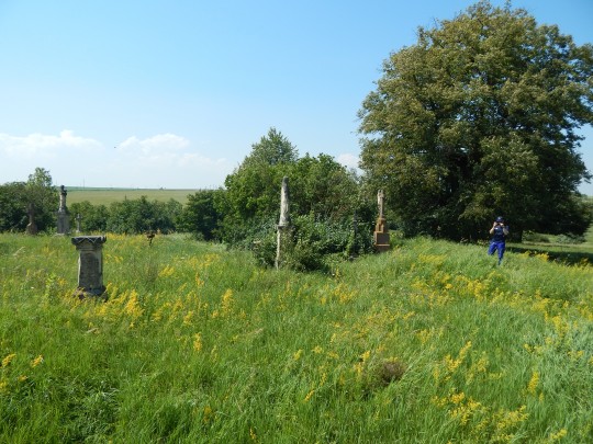 Mogielnica, przed (1)