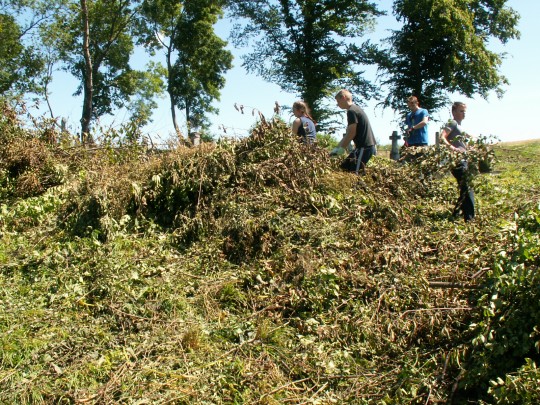 KONICA MINOLTA DIGITAL CAMERA