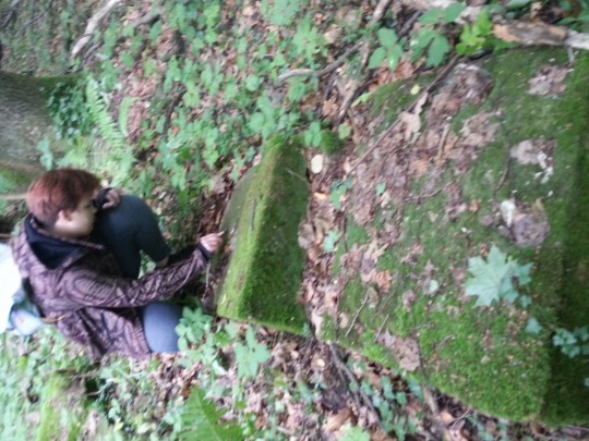 Odsłanianie napisow 4