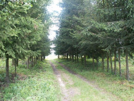 KONICA MINOLTA DIGITAL CAMERA