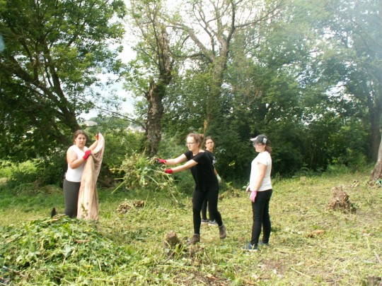 KONICA MINOLTA DIGITAL CAMERA