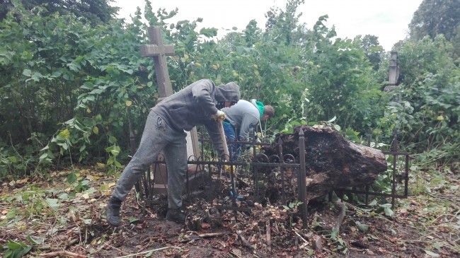 Usuwanie pnia - Tuligłowy