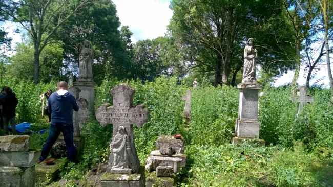 WP_20170713_13_10_21_Pro