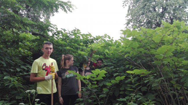 Wolontariusze - cmentarz Tuligłowy