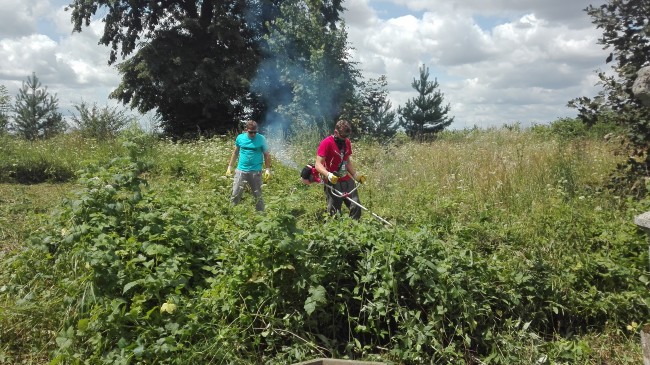 Wykaszanie zarośli - Tuligłowy