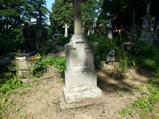 Zwaryczówna Wanda 3 Bóbrka