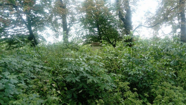 21014736_1416242698452515_341857239_o — kopia