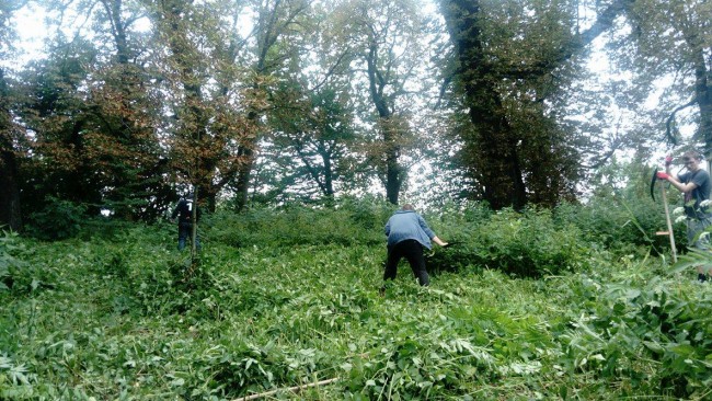 21014770_1416242695119182_471411871_o — kopia