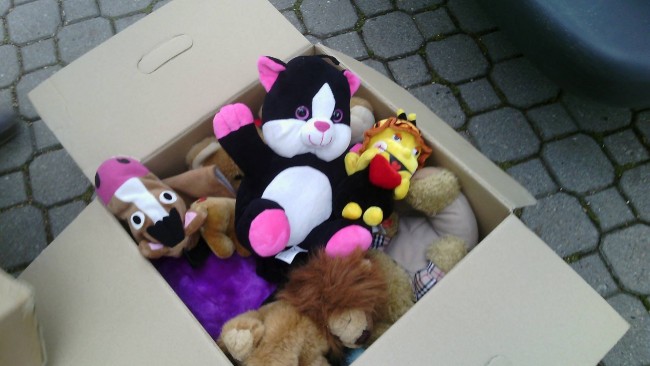 22323953_1528439397233932_1377152480_o