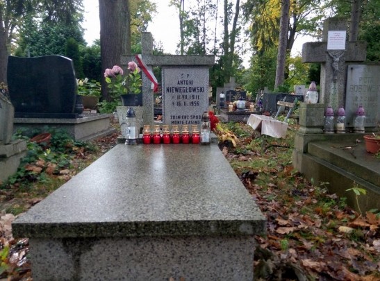 22386407_1997734733788363_2109377050_n