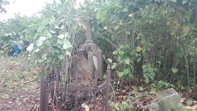 Grób niszczony przez pień drzewa - Tuligłowy